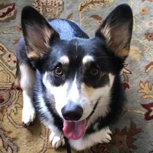 Meet your Posher, Edie